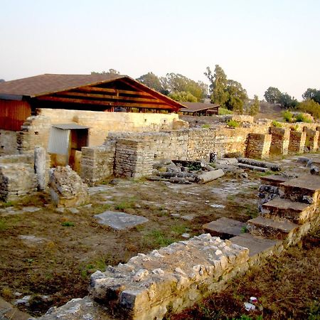 Ξενοδοχείο Διόνυσος Μύτικας Εξωτερικό φωτογραφία